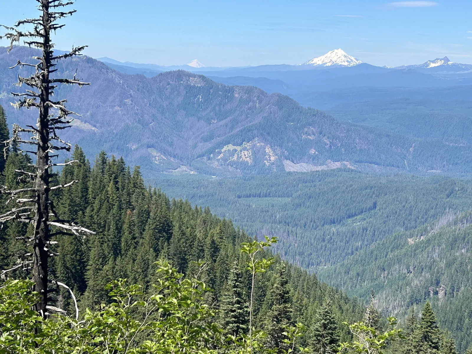 Forest ridge above the river valley